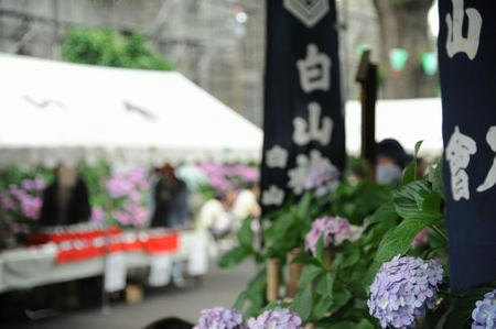 hakusannjinja.JPG