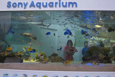 aquarium01.JPG