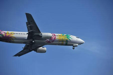 110917hikoli.JPG