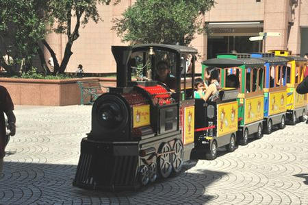 ribontrein.jpg