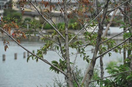 70200test01.jpg