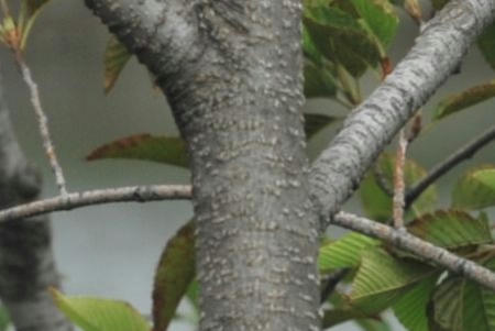 70200test02.jpg