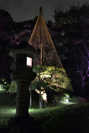 sirakawa.JPG