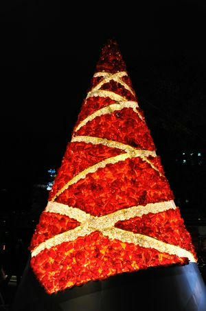 Tree2011.JPG