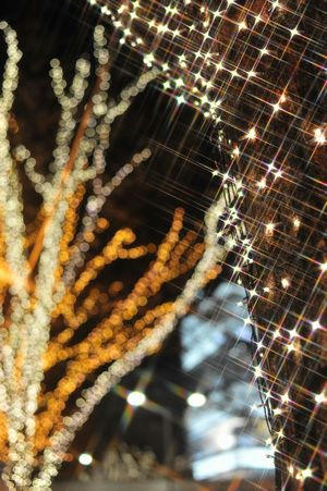 omotesando.JPG