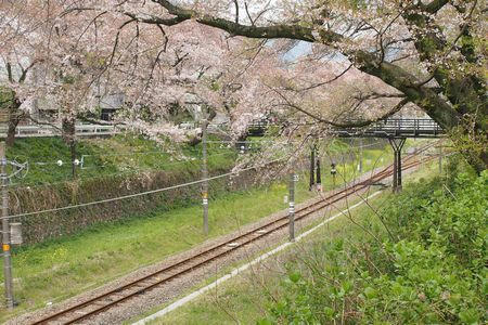 yamakita.JPG
