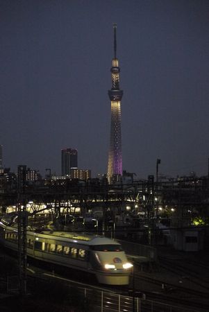 pakuri.JPG
