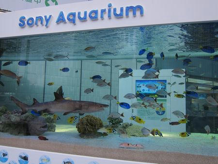 2012aquarium.JPG