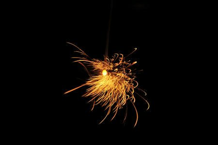 senkohanabi02.JPG