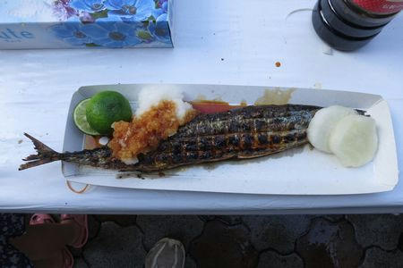 sanma.JPG