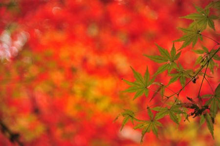 12heirinji01.JPG