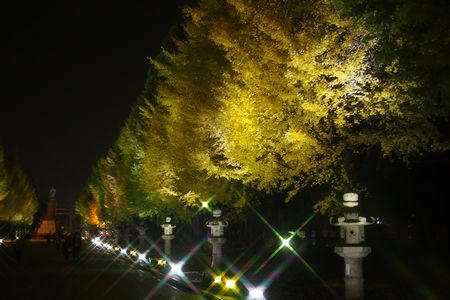 yasukuniirumi.JPG