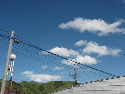 P4261608.JPG