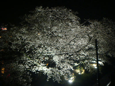 DSC01673.JPG