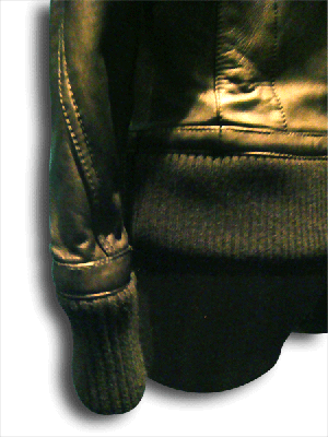 DSC07344-1.gif
