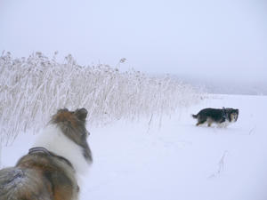 P1100396.JPG