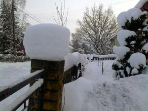 13022010141.jpg