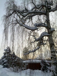 13022010144.jpg