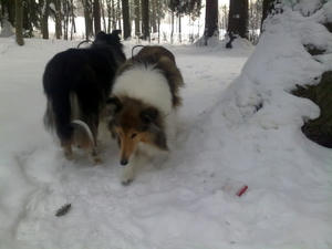 13022010149.jpg