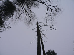 P1100950.JPG