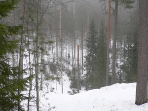 P1100875.JPG