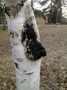 11042010178.jpg