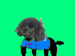 df0152ffjpeg