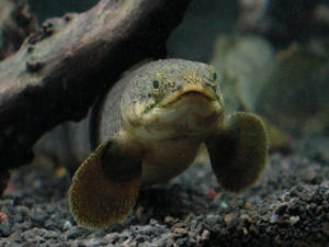DSC00079.JPG