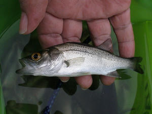 P8020100.JPG