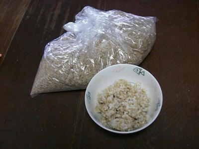玄米