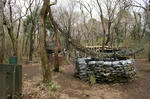 DSC01233.jpg