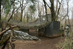 DSC01235.jpg