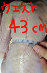 a2ee5580.jpeg