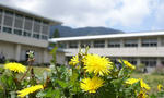 DSC01776.JPG