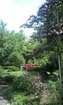 PA0_0052.JPG