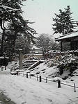 080209_snow.jpg
