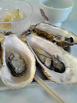 PA0_0036.JPG