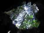 CIMG0078.JPG