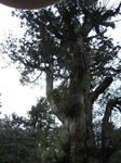 CIMG0089.JPG