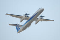DSC_2650-1.jpg