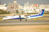 DSC_2908-1.jpg
