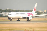 DSC_2923-1.jpg