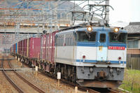 DSC_3124-1.jpg