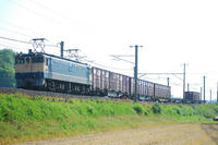 DSC_3671-1.jpg