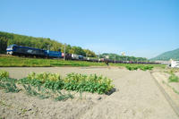 DSC_3682-1.jpg