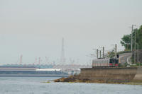 DSC_3828-1.jpg