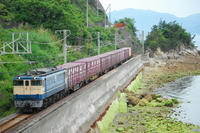 DSC_3951-1.jpg