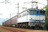 DSC_4110-1.jpg