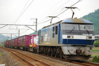 DSC_4136-1.jpg