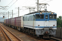 DSC_4302-1.jpg
